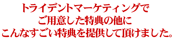 トライデントマーケティングでご用意した特典の他にこんなすごい特典を提供して頂けました。