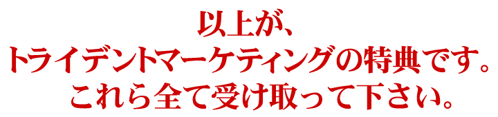 以上が、トライデントマーケティングの特典です。これら全て受け取って下さい。