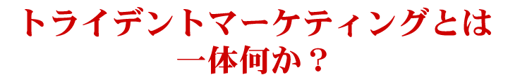 トライデントマーケティングとは一体何か?