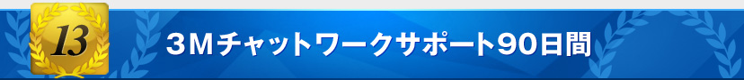 3Mチャットワークサポート90日間