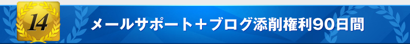 メールサポート＋ブログ添削権利90日間