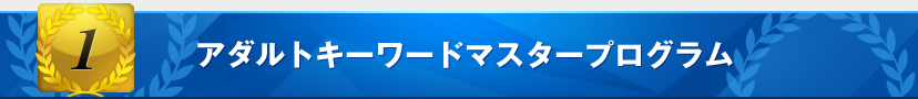 アダルトキーワードマスタープログラム