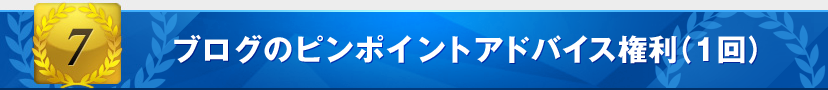 特典7：ブログのピンポイントアドバイス権利（1回）