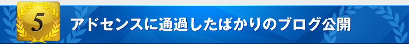 限定特典2:「アドセンスに通過したばかりのブログ公開」