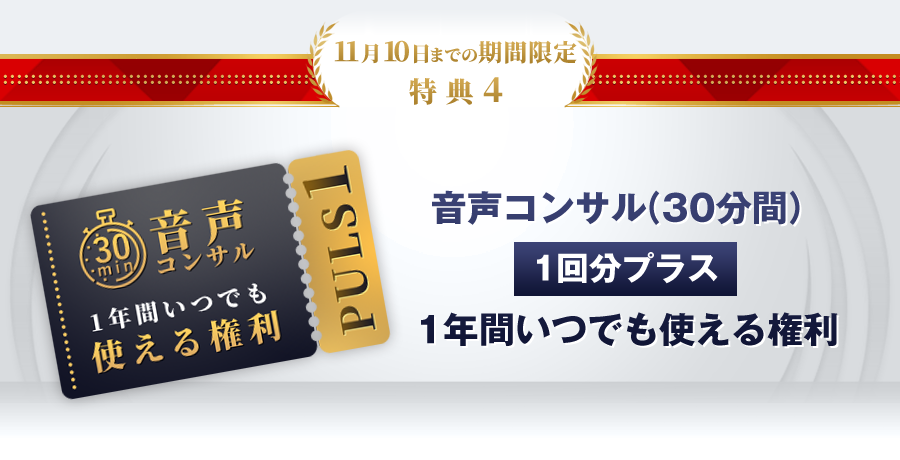 特典3：音声コンサル（30分間）1回分プラス！1年間いつでも使える権利