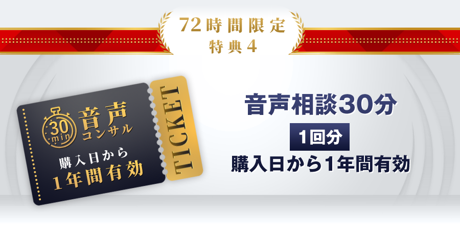 特典3：音声相談30分1回分（購入日から1年間有効）